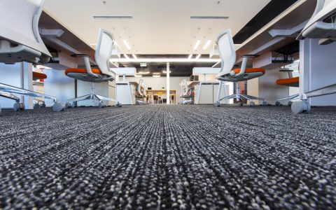 Carpet in modern office interior, low angle shot