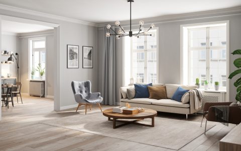 Scandinavian Style Cozy Living Room Interior